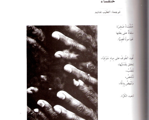 Poems by Efrat Mishori, Arabic. p. 5